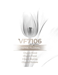 Perfume a granel - VismarEssence VF7106