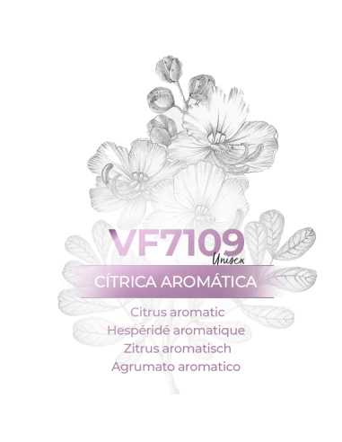 Perfume a granel - VismarEssence VF7109