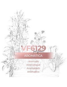 Perfume a granel - VismarEssence VF6129