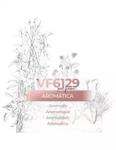 Perfume a granel - VismarEssence VF6129