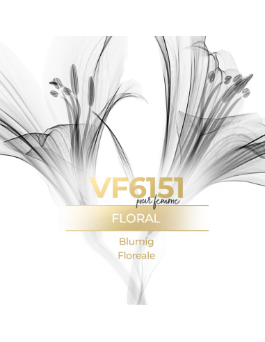 Perfume a granel - VismarEssence VF6151