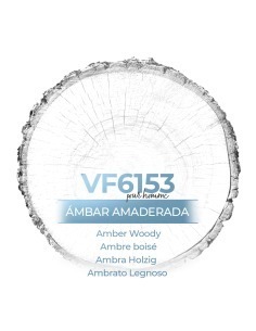 Perfume a granel - VismarEssence VF6153