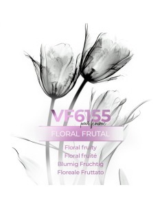 Perfume a granel - VismarEssence VF6155