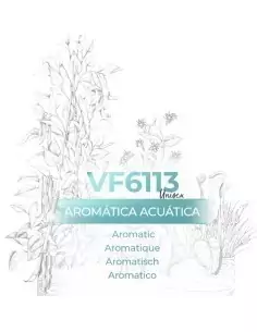 Similar perfume - VismarEssence VF6113