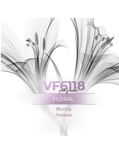 Parfum générique - VismarEssence VF6118