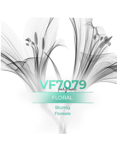 Parfum générique - VismarEssence VF7079