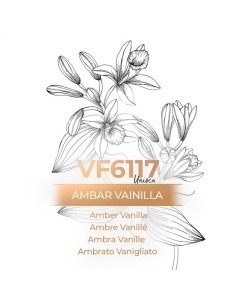 Perfume a granel - VismarEssence VF6117