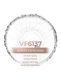 Parfum générique - VismarEssence VF6137