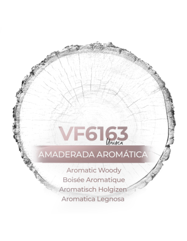 Perfume a granel - VismarEssence VF6163