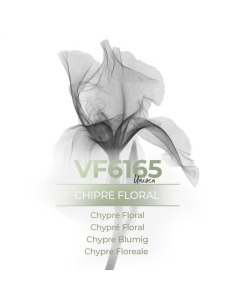 Perfume a granel - VismarEssence VF6165