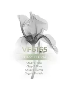 Vismaressence VF6165 - 1000ml