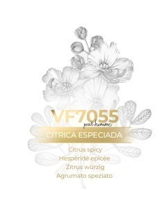 Perfume a granel - VismarEssence VF7055
