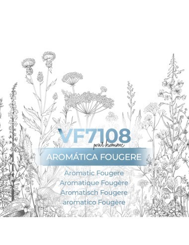 Parfum générique - VismarEssence VF7108
