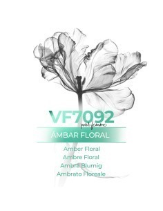 Perfume a granel - VismarEssence VF7092