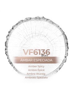 Perfume a granel - VismarEssence VF6136