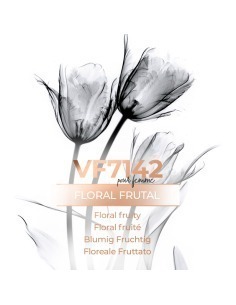 Perfume a granel - VismarEssence VF7142