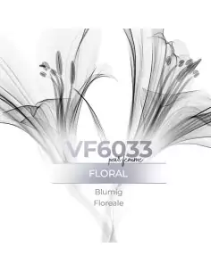Similar Perfume - VismarEssence VF6033