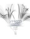 Parfum générique - VismarEssence VF6033