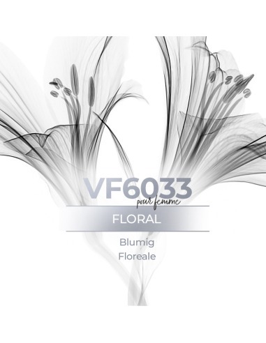 Parfum générique - VismarEssence VF6033