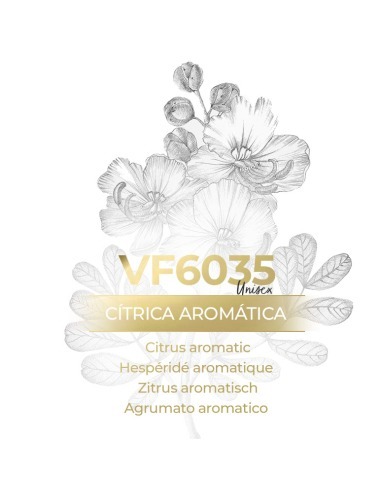 Similar Perfume - VismarEssence VF6035