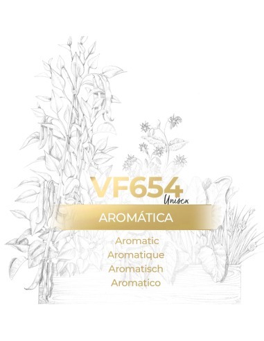 VismarEssence VF654 is an aromatic unisex bulk perfume.