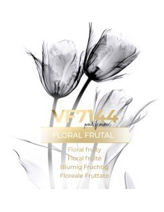 Similar perfume - VismarEssence VF7144