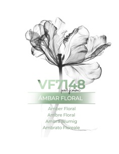 Perfume al por mayor - VismarEssence VF7148