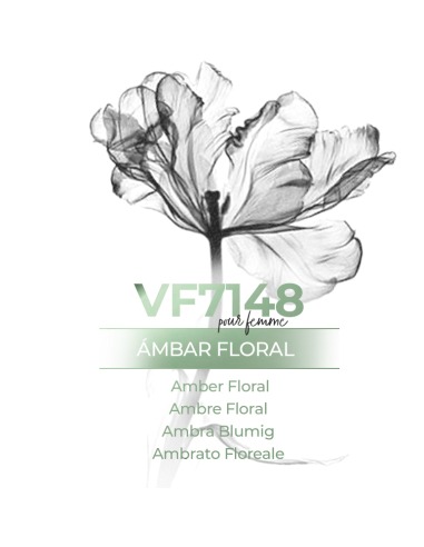 Perfume a granel - VismarEssence VF7148