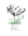 Perfume a granel - VismarEssence VF7148