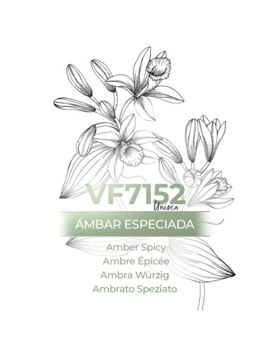 Perfume no atacado - VismarEssence VF7152