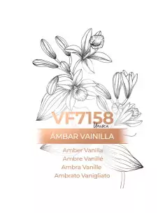 Similar Perfume - VismarEssence VF7158.