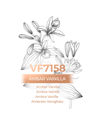 Perfume atacado - VismarEssence VF7158.