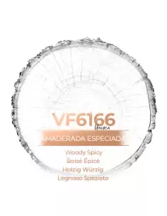 Similar Perfume - VismarEssence VF6166.