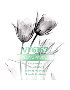 Perfume al por mayor - VismarEssence VF6167.