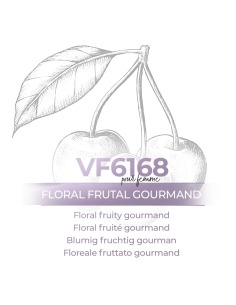 Perfume al por mayor - VismarEssence VF6168.