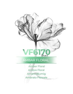 Perfume al por mayor - VismarEssence VF6170.