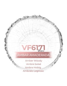 Parfum cu ridicata - VismarEssence VF6171.