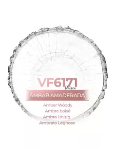 Similar Perfume - VismarEssence VF6171