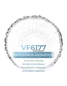 Similar Perfume - VismarEssence VF6177.