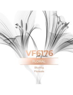 Perfumes a granel - VismarEssence VF6176