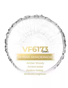 VismarEssence VF6173
