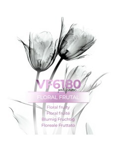 Perfume a granel - VismarEssence VF6180