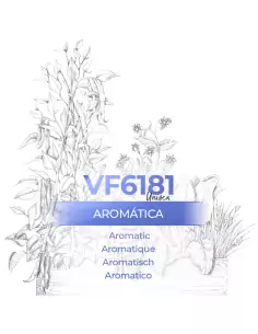 VismarEssence VF6181
