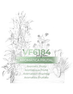 Perfumes a granel - VismarEssence VF6184