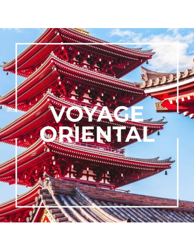 Luftrenser spray Voyage Oriental