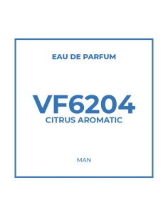 Perfume in bulk for Men VF6204 Citrus Aromatic