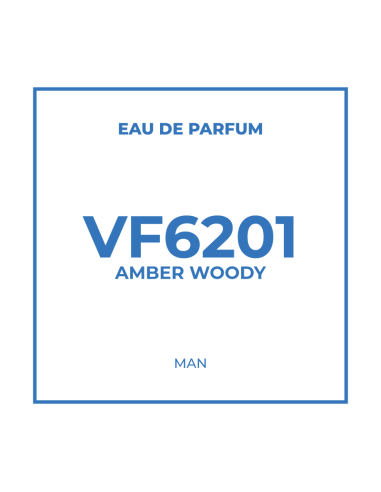 Profumo ingrosso per Uomo VF6201 Ambra Legnoso