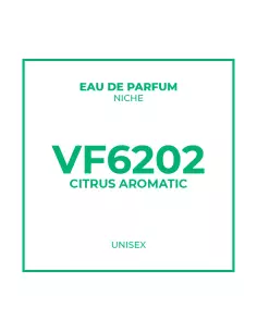 Niche perfume in bulk Unisex VF6202 Citrusy Aromatic