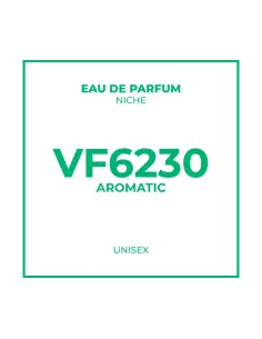 Bulk Niche Unisex Perfume VF6230 – Aromatic Olfactory Family