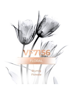 Perfume al por mayor - VismarEssence VF7156. 2